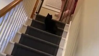Fat girl on the steps