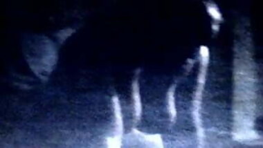 brooklyn sexyredbone