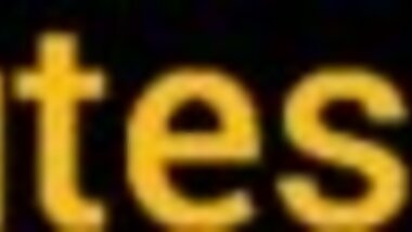 GORILLA PUNCHING THE CLOCK WHILE WORKING FROM HOME!!!
