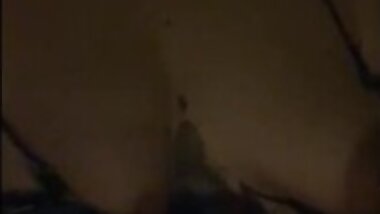 passeando com meus cachorrinhos a noite